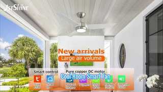48-Zoll-ABS-Deckenventilator mit LED-Fernbedienung