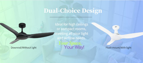 Neueste Unternehmensnachrichten über Ein Fan, viele Möglichkeiten: Anpassbare Optionen von 1stShine