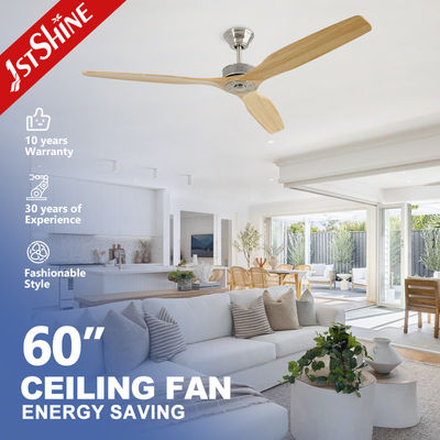 Anlage Deckenventilator 60